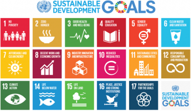 Grid of SDG goals with icons