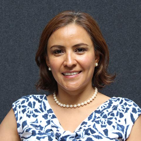 Carmen Mestizo-Castillo