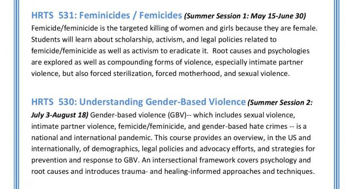 Upcoming grad courses on gender-based violence and human rights (summer-fall 2023)